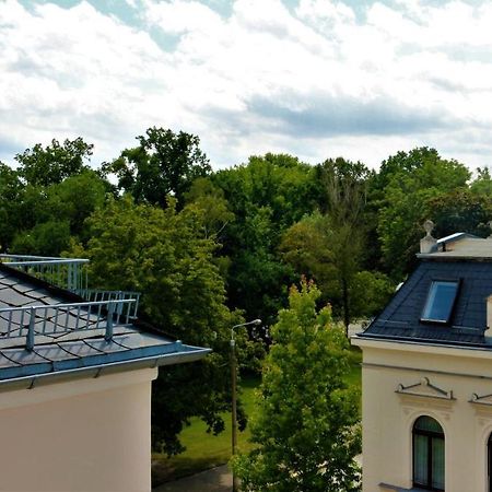 Zentral Gelegene Wohnung Nahe Schwanenteich Zwickau Exterior foto
