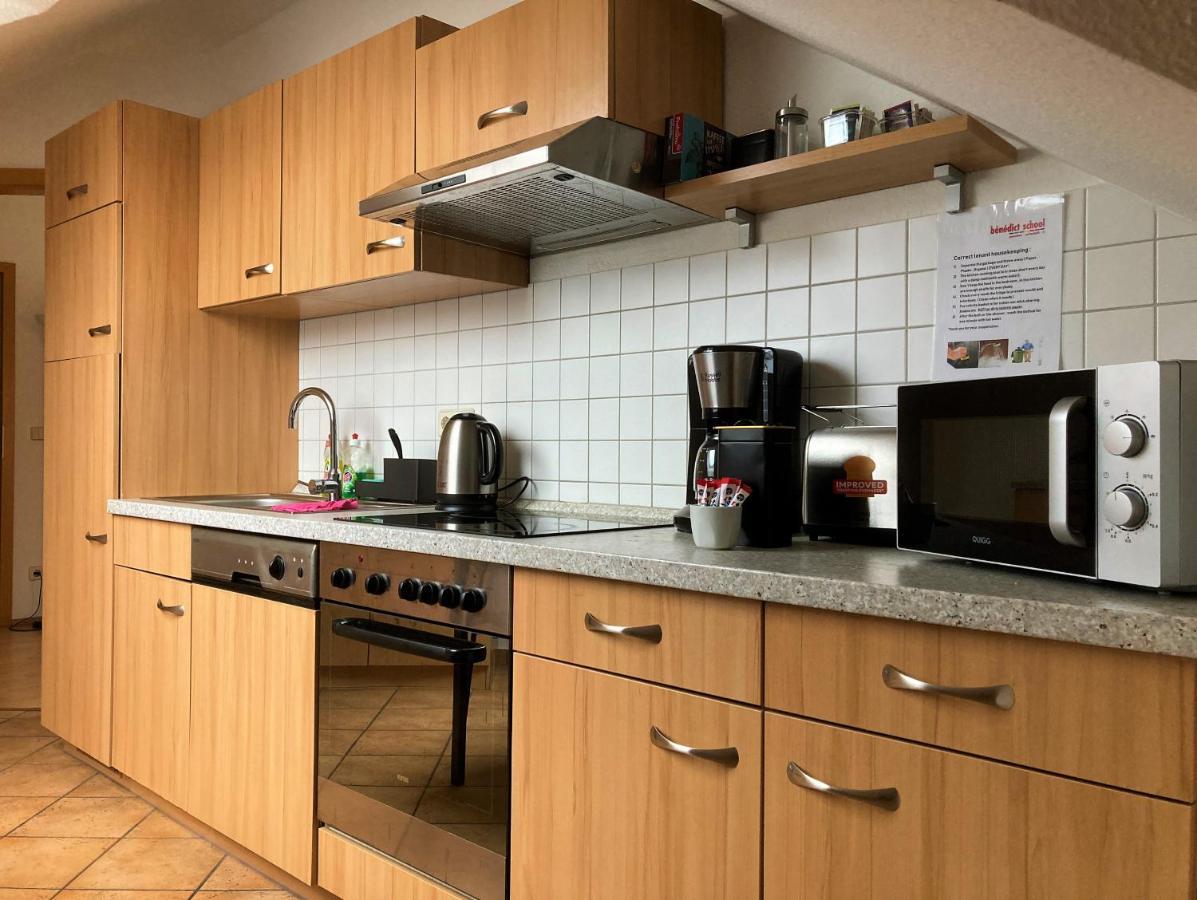 Zentral Gelegene Wohnung Nahe Schwanenteich Zwickau Exterior foto