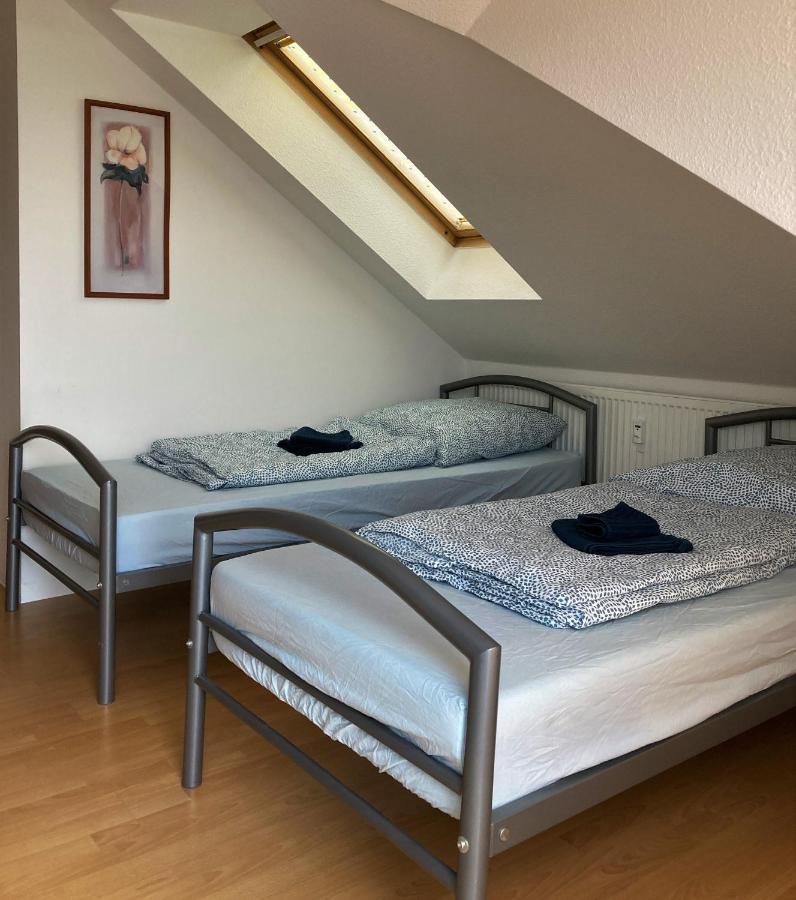 Zentral Gelegene Wohnung Nahe Schwanenteich Zwickau Exterior foto