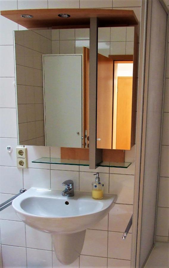 Zentral Gelegene Wohnung Nahe Schwanenteich Zwickau Exterior foto