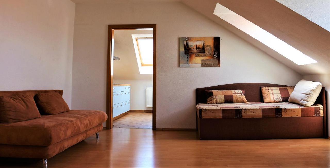 Zentral Gelegene Wohnung Nahe Schwanenteich Zwickau Exterior foto
