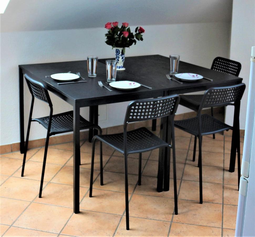 Zentral Gelegene Wohnung Nahe Schwanenteich Zwickau Exterior foto